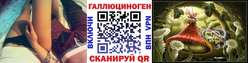 kraken ССЫЛКА  купить наркотики сайты  Порхов  Псилоцибиновые грибы Cubensis 